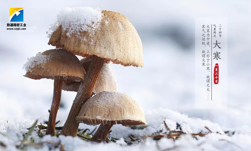 大寒，唯美冰雪迎新春！